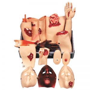 Advanced Child Trauma Accessories Care Model